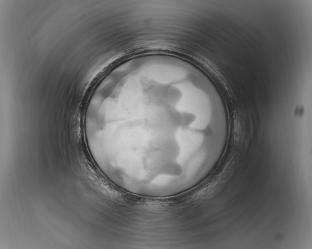 X0000114700782200911181316