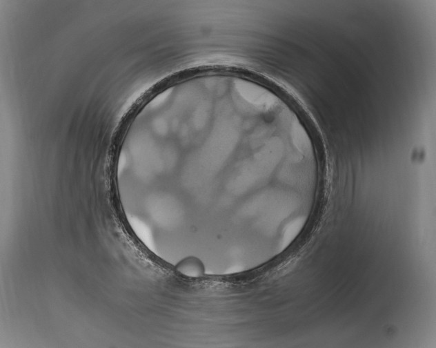 X0000114700783200911181316