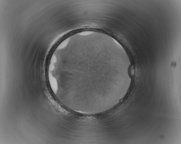 X0000114700784200911181316