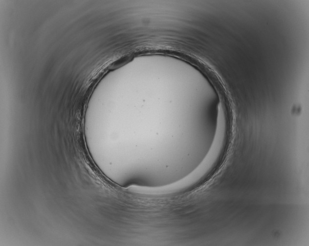 X0000114700785200911181316