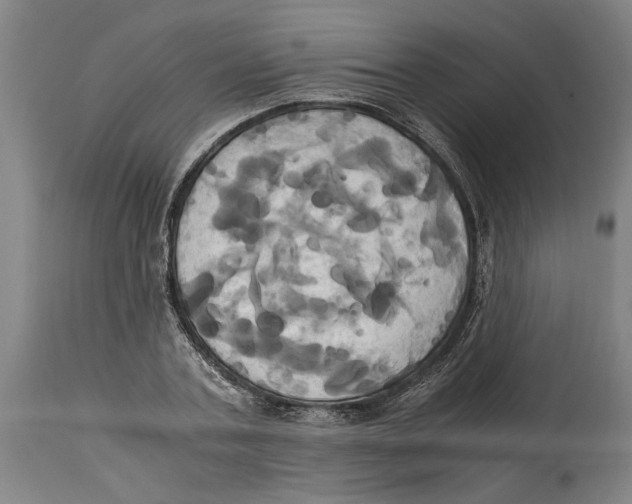 X0000114700787200911181316