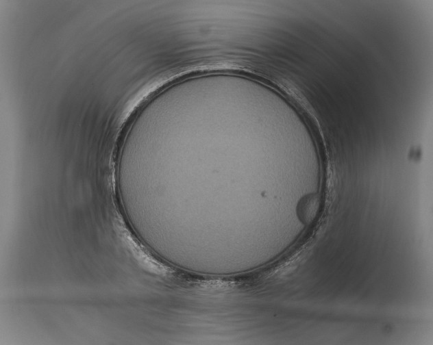 X0000114700789200911181316