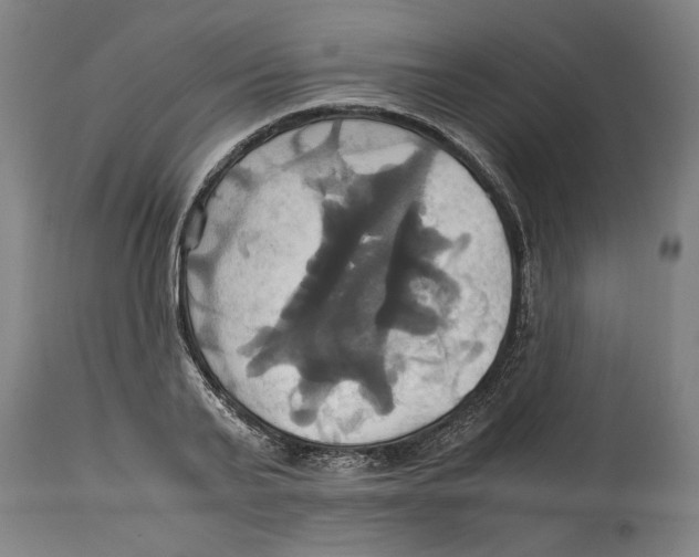 X0000114700791200911181316