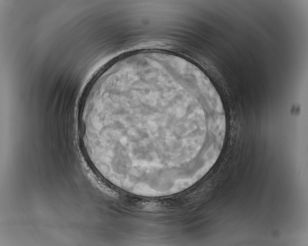 X0000114700792200911181315