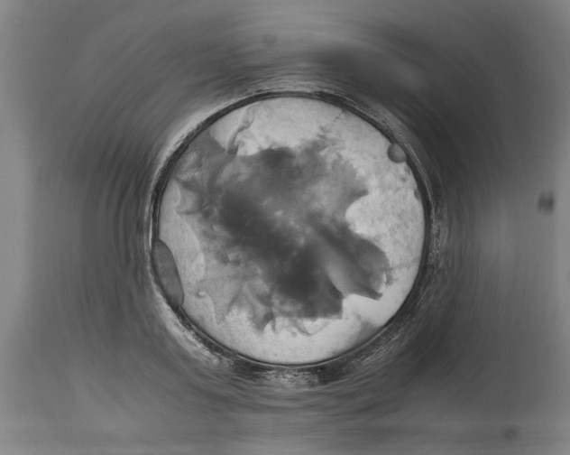 X0000114700795200911181315