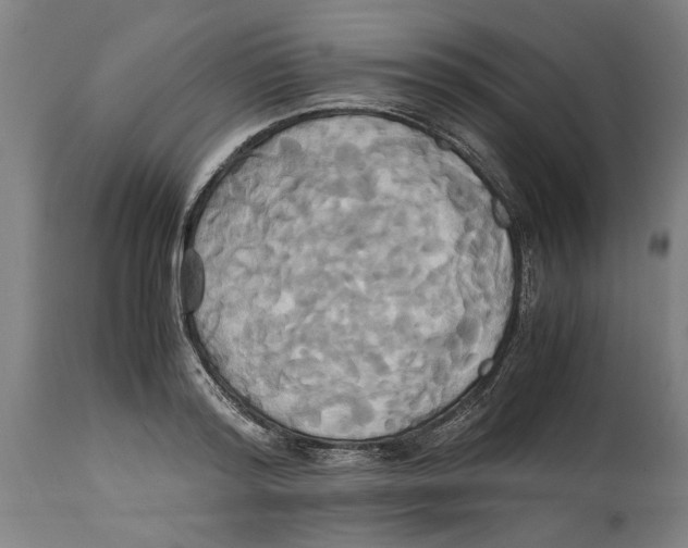 X0000114700796200911181315