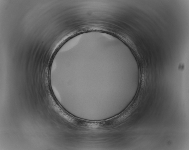 X0000114700798200911181315