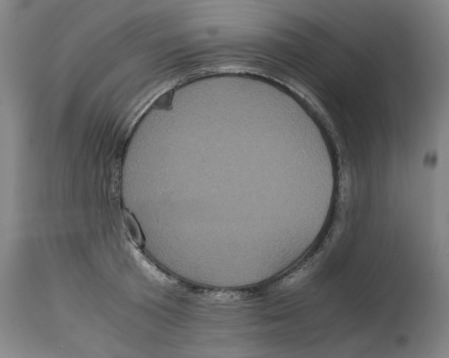 X0000114700801200911181315