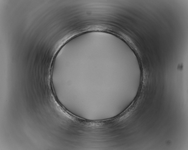 X0000114700802200911181315