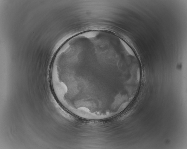 X0000114700803200911181315