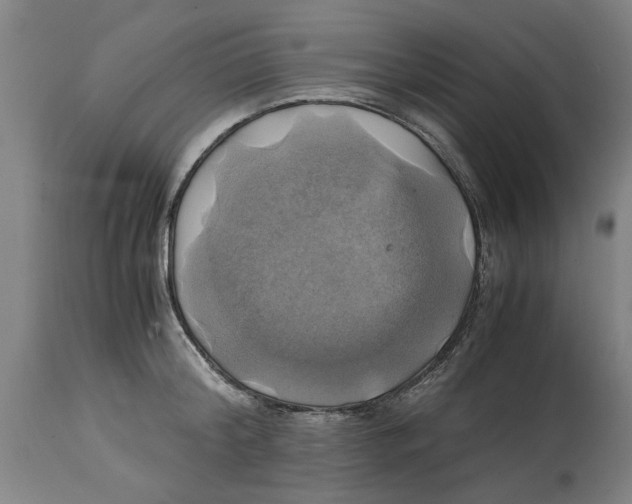 X0000114700804200911181315