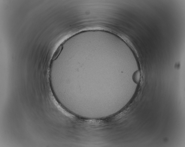 X0000114700805200911181315