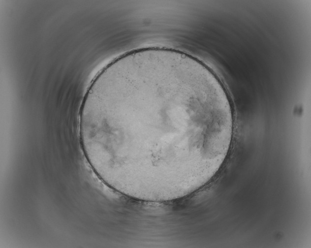 X0000114700807200911181315