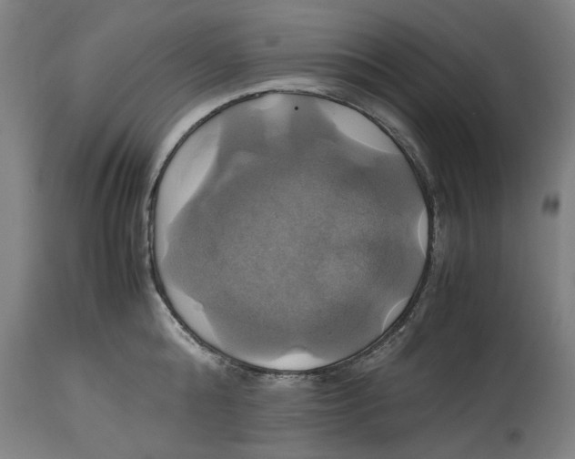 X0000114700808200911181315