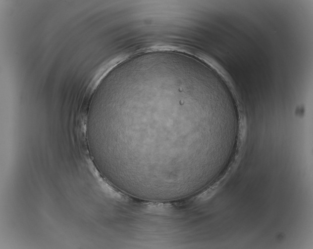 X0000114700809200911181315