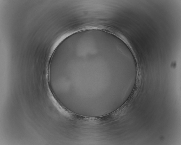 X0000114700811200911181315