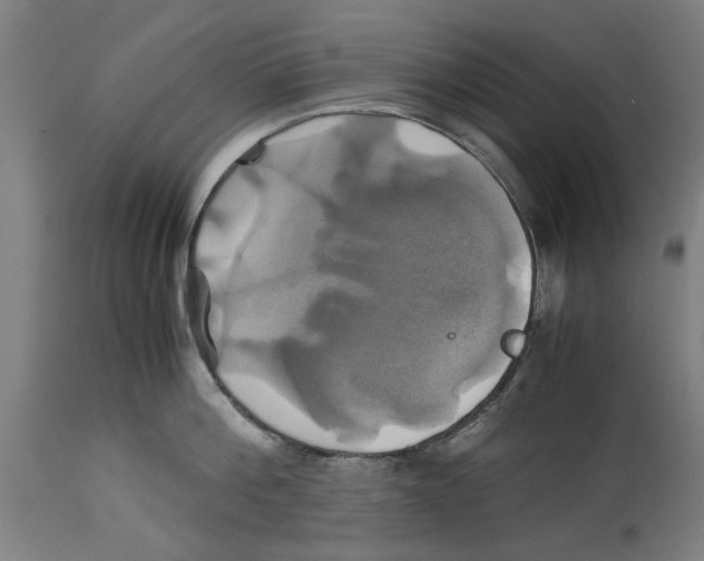 X0000114700812200911181315