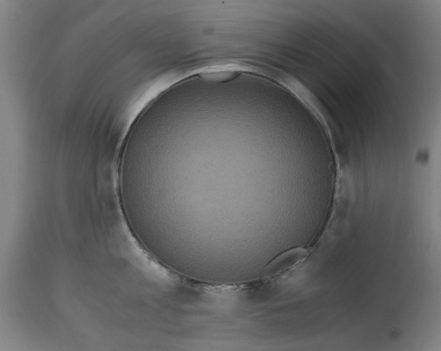 X0000114700813200911181315