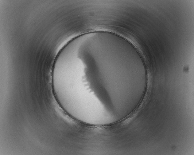 X0000114700814200911181315