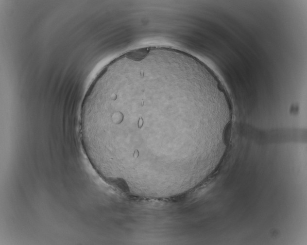 X0000114700815200911181315