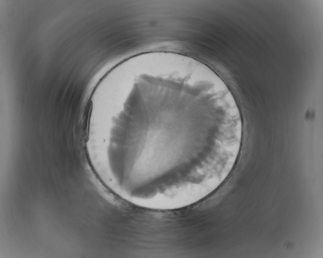 X0000114700816200911181315