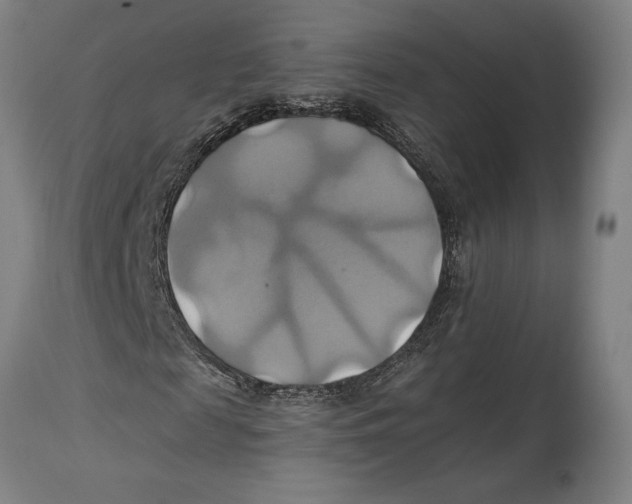 X0000114700817200911181315