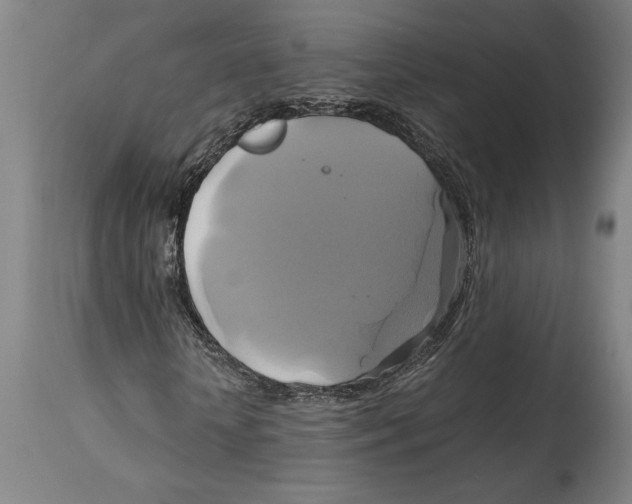 X0000114700818200911181315