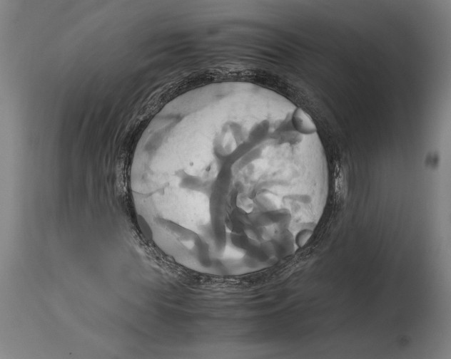 X0000114700819200911181315