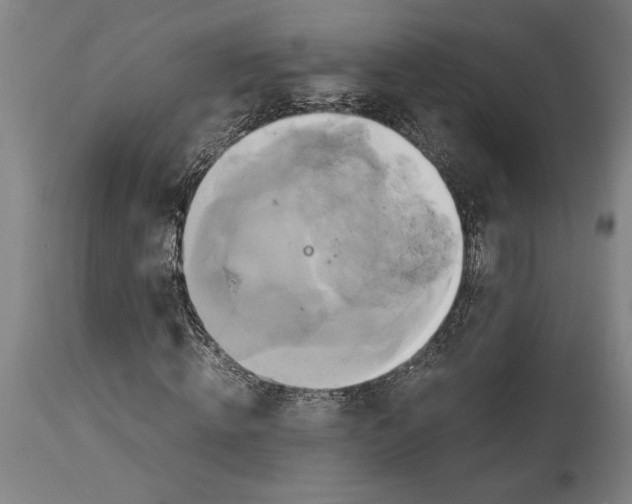 X0000114700820200911181315