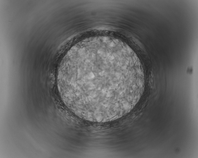 X0000114700821200911181315