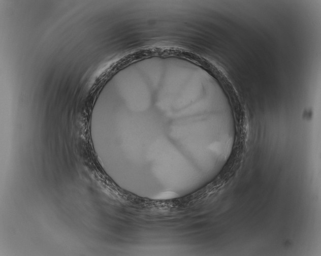 X0000114700823200911181315