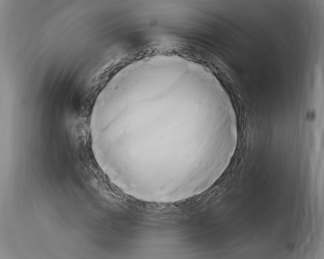 X0000114700824200911181315