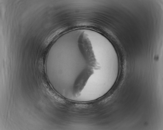 X0000114700825200911181315