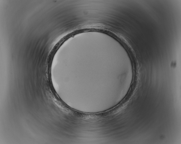 X0000114700830200911181315