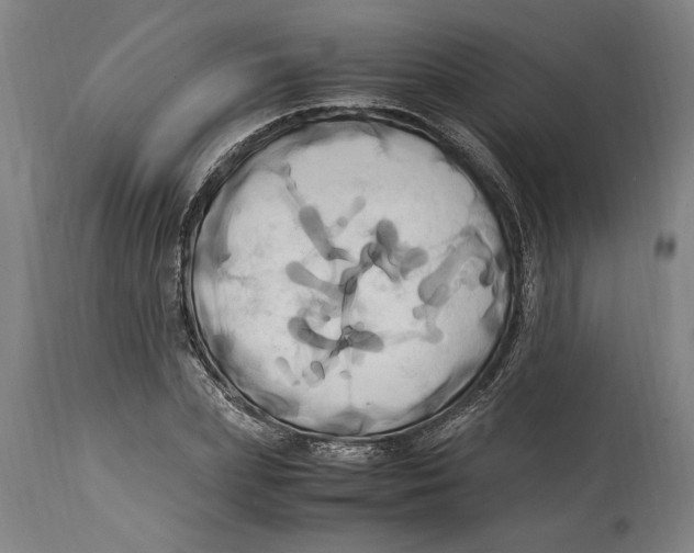 X0000114700831200911181315