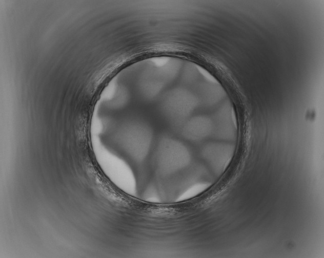 X0000114700833200911181315