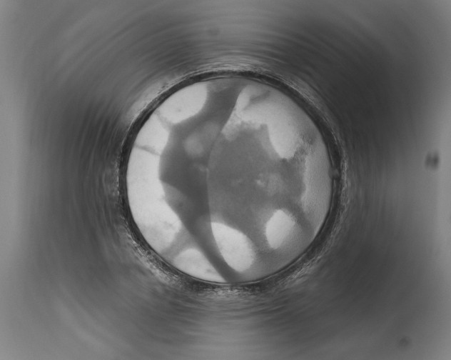 X0000114700834200911181315