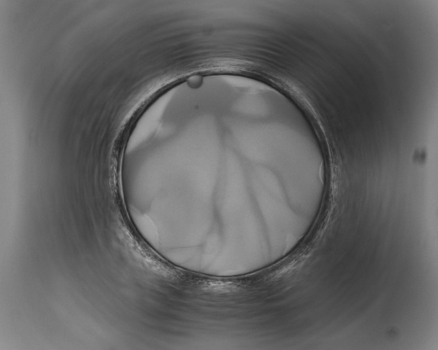 X0000114700835200911181315