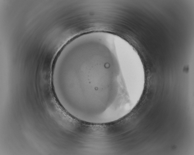 X0000114700836200911181315