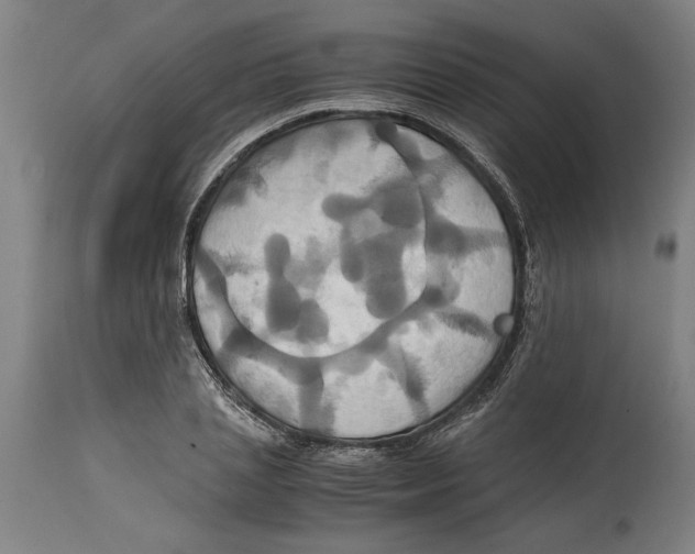 X0000114700837200911181315