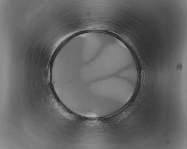 X0000114700838200911181315