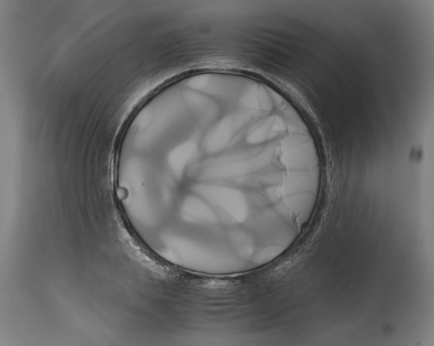 X0000114700839200911181315