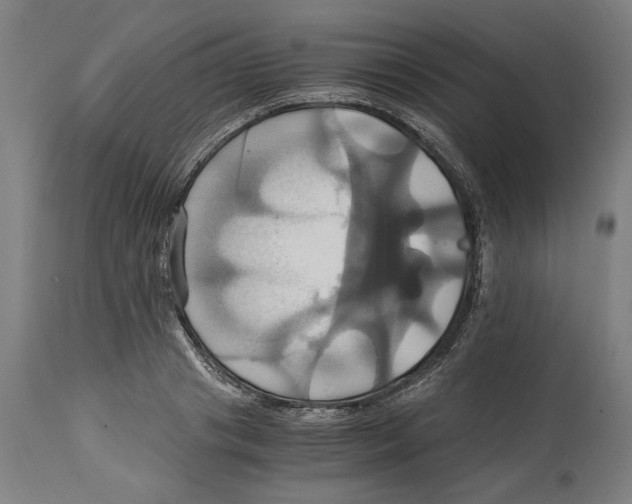 X0000114700841200911181315