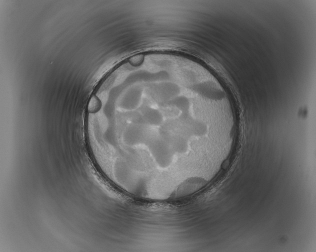 X0000114700842200911181315