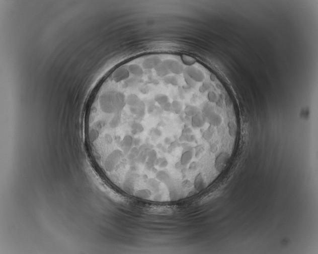 X0000114700843200911181315