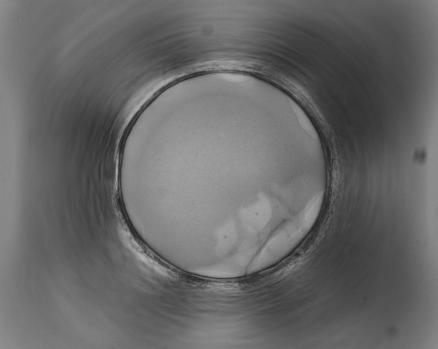 X0000114700844200911181315