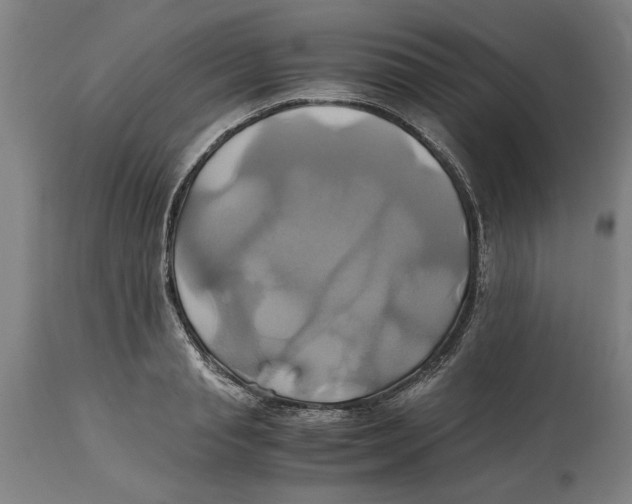 X0000114700845200911181315