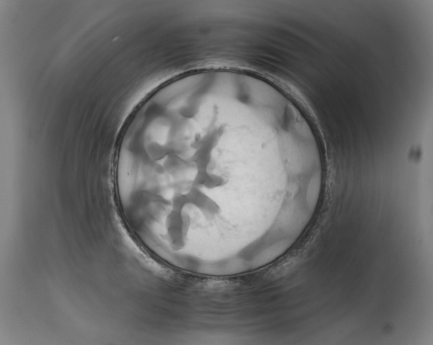 X0000114700847200911181315