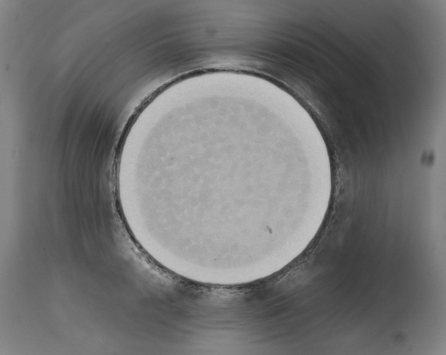 X0000114700848200911181315