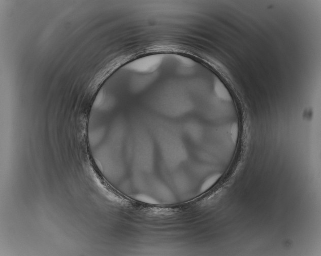 X0000114700849200911181315